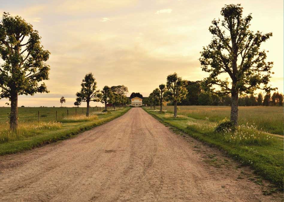 Ejemplo de campo en venta 4